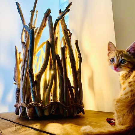 Le Stanze Del Brigante Bed & Breakfast เจนัว ภายนอก รูปภาพ